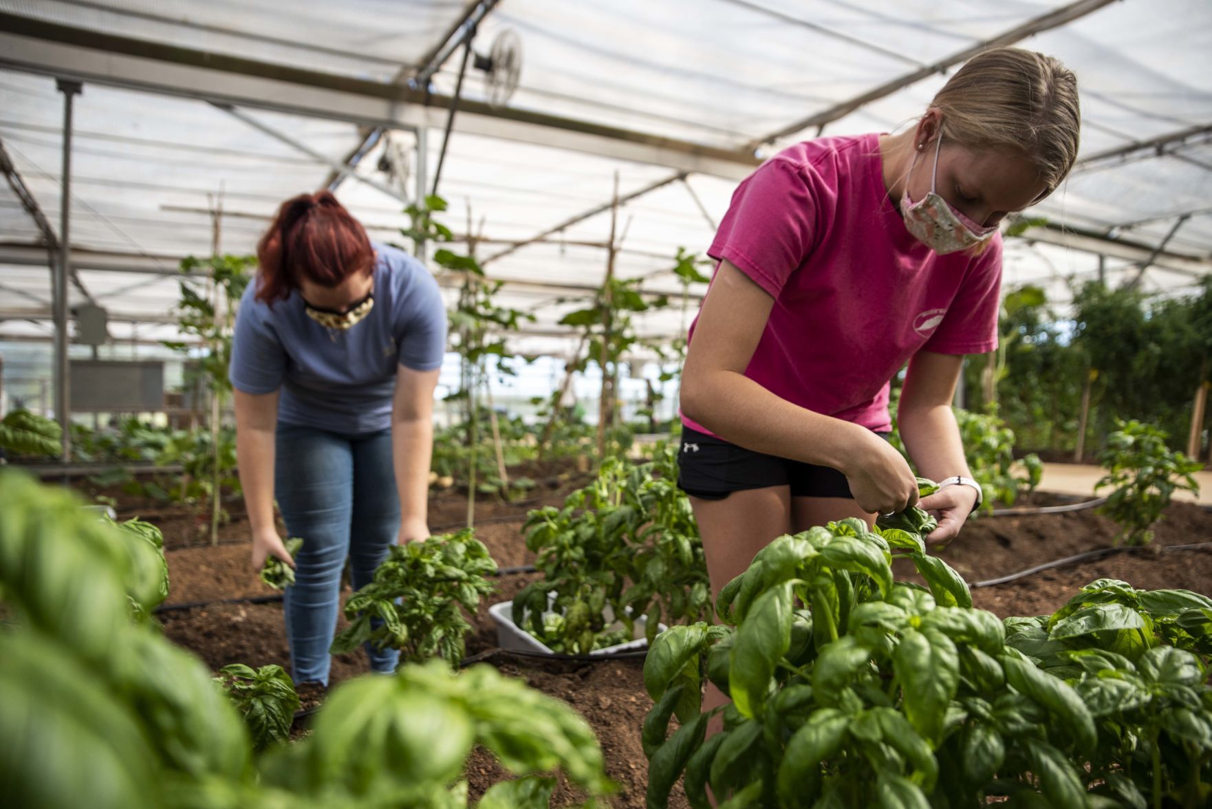 Sweet Briar College Greenhouse